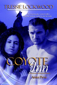 Coyote Inn book cover