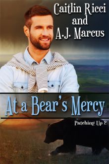 Patching Up book cover 2