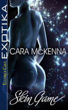Skin Game book cover