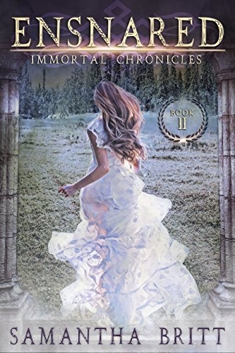 Immortal Chronicles book cover 2