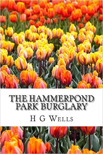 The Hammerpond Park Burglary book cover