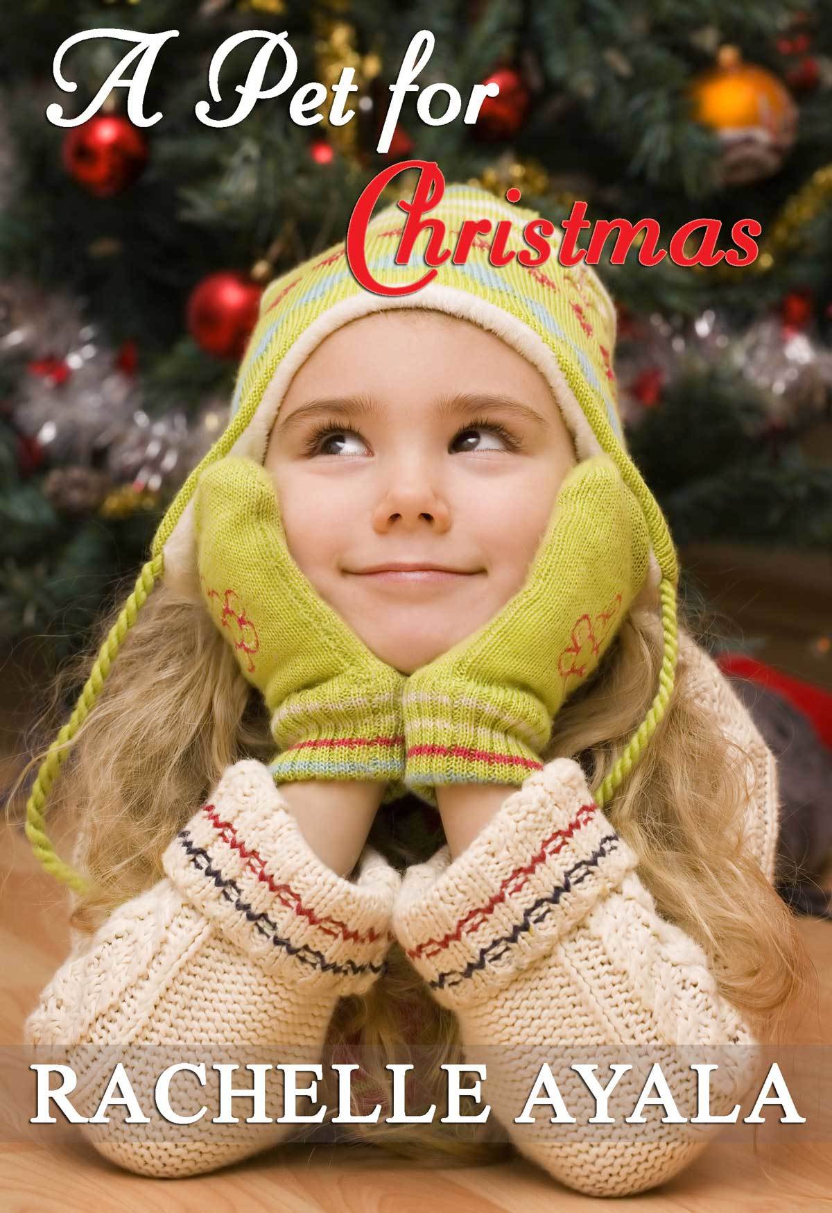 A Veteran's Christmas book cover 2