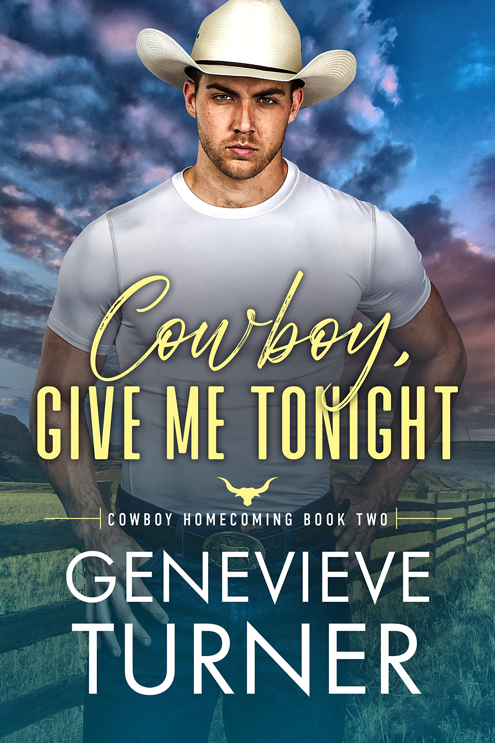 Cowboy Homecoming book cover 2