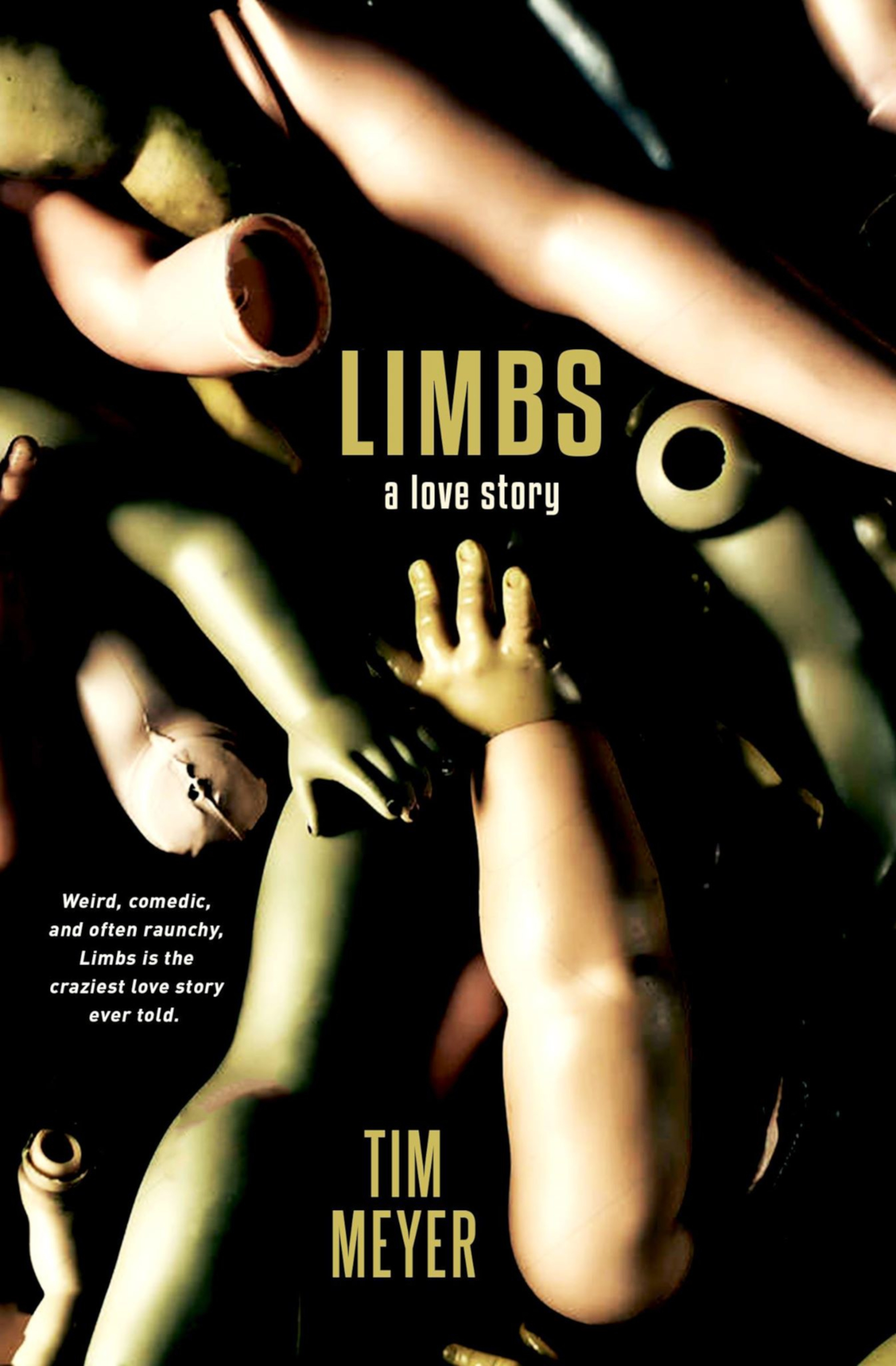 Limbs book cover
