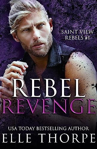 Saint View Rebels book cover 1