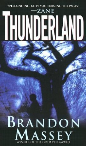 Thunderland book cover