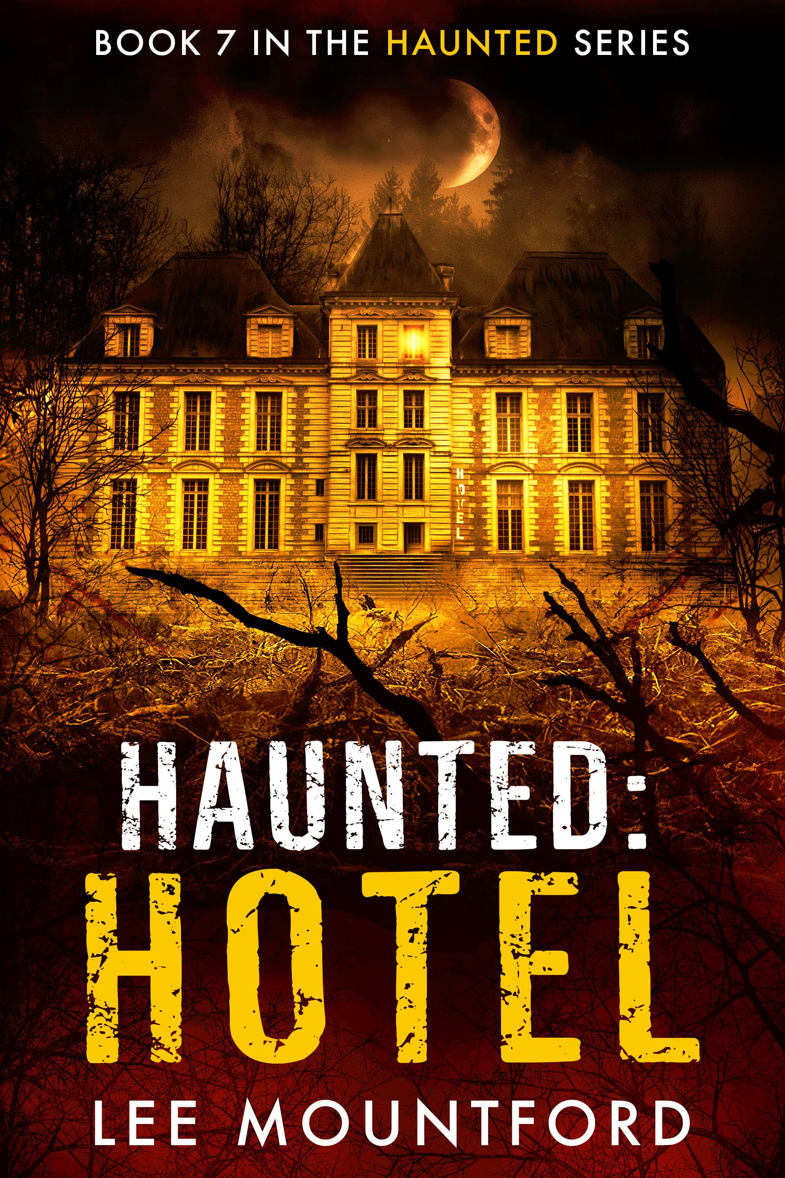 Haunted book cover