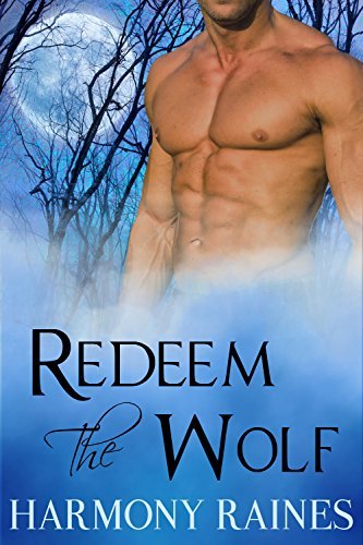 Wolf Valley Raiders book cover 1