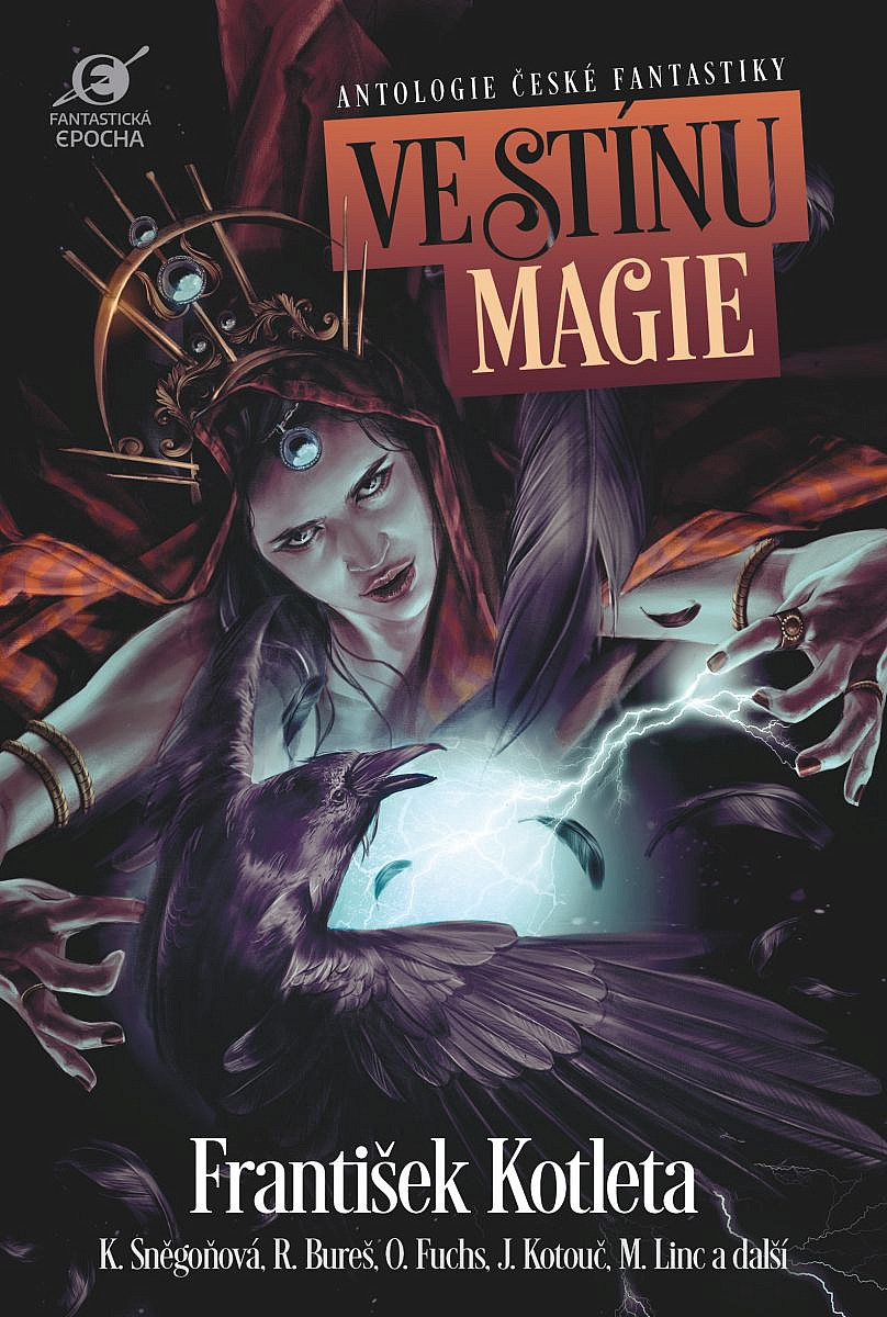 Ve stínu magie book cover