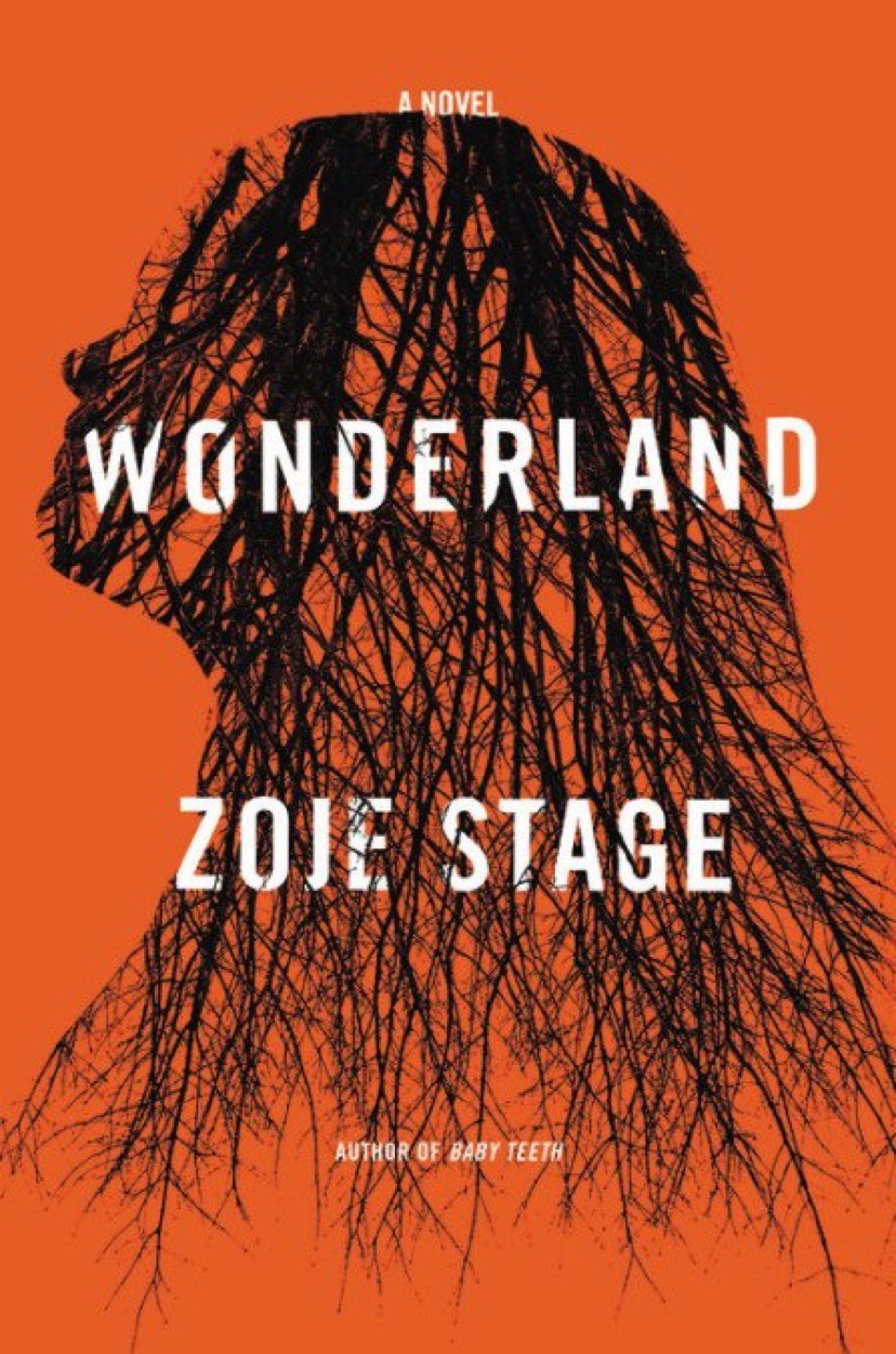 Wonderland book cover