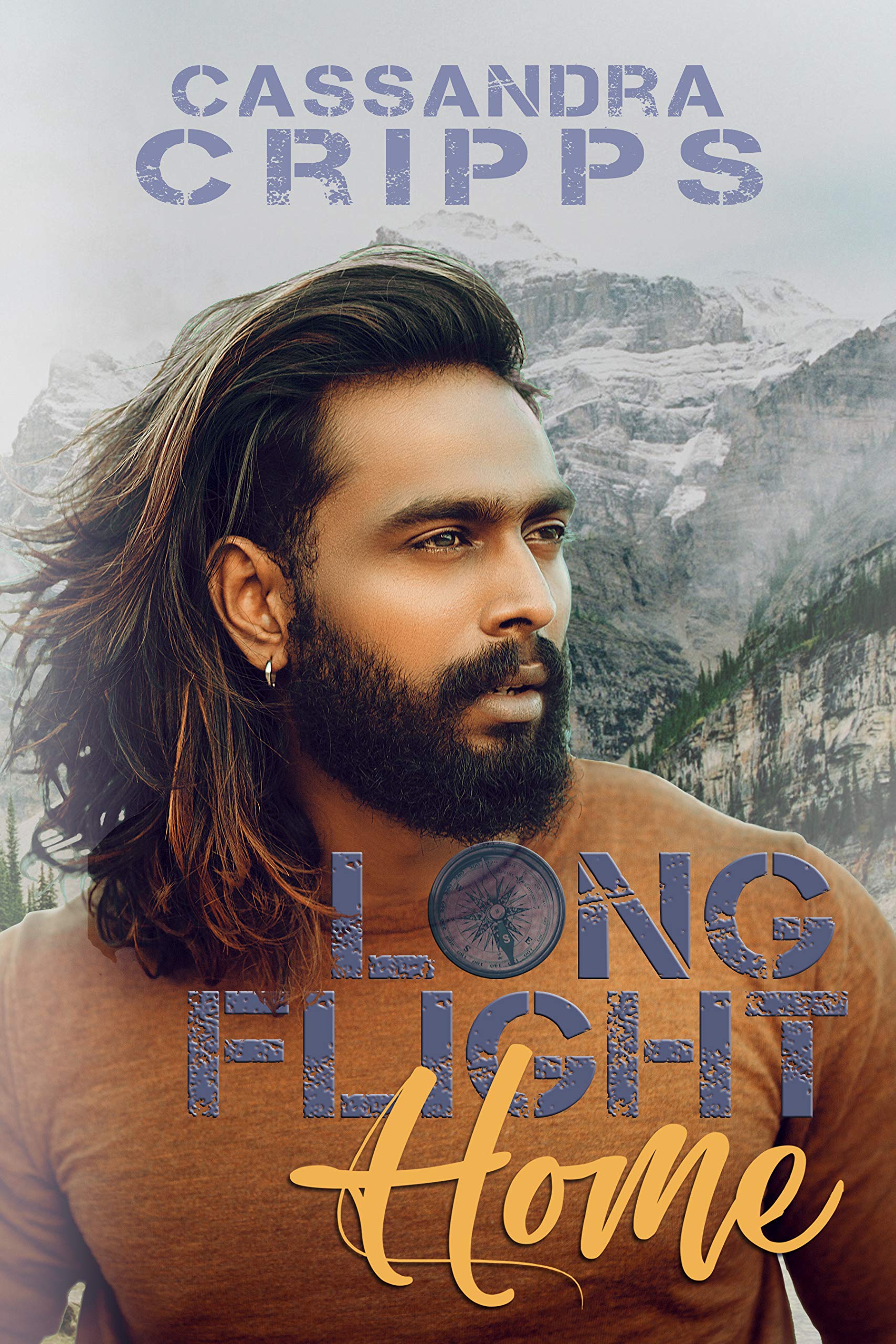 Long Flight Home book cover