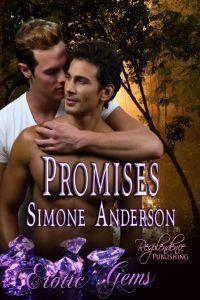 Promises book cover