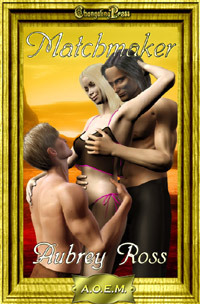 Matchmaker book cover