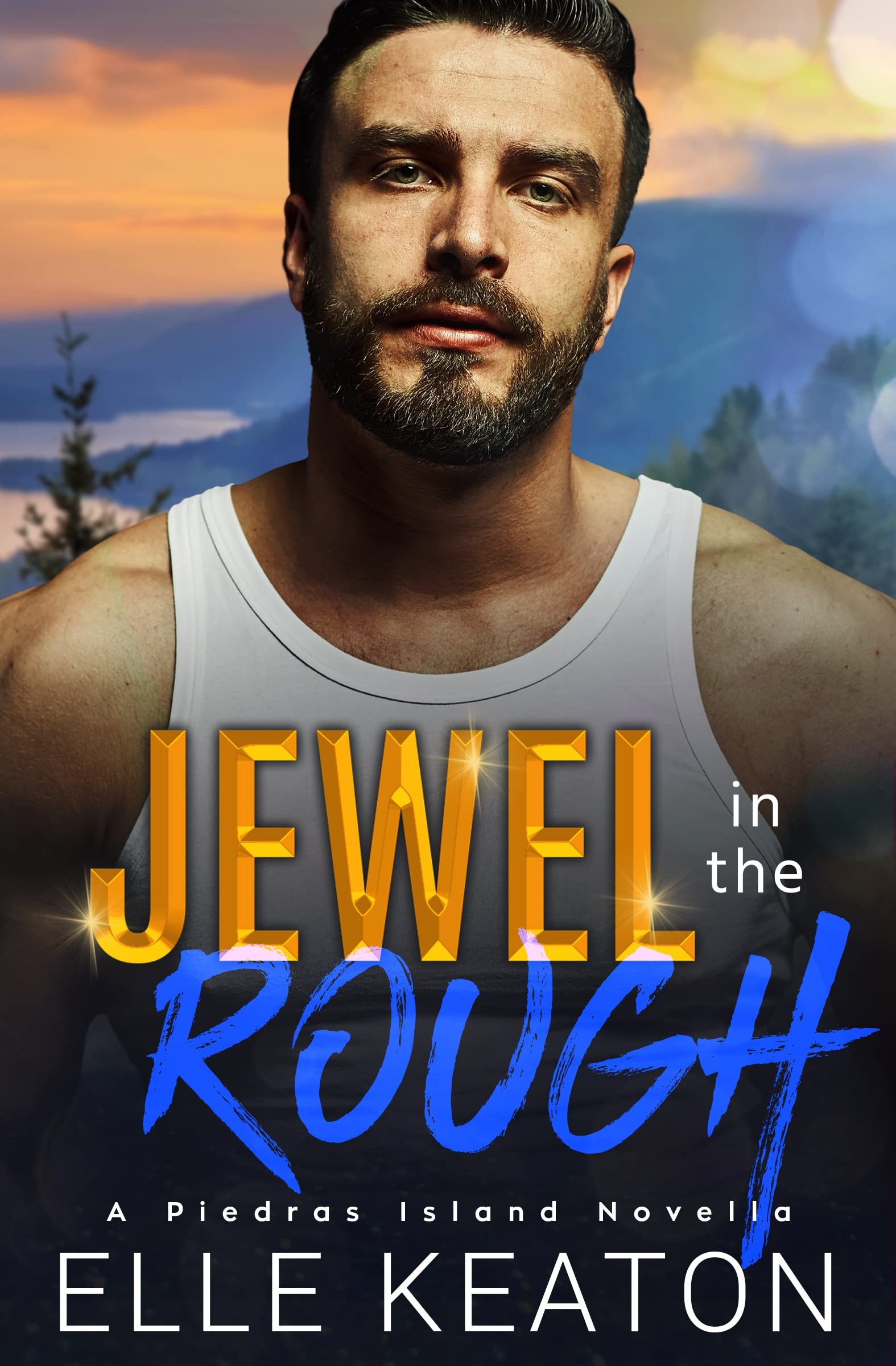 Jewel in the Rough book cover
