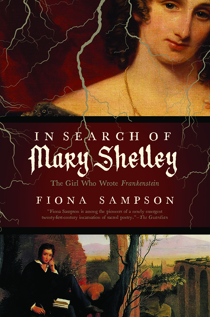 In Search of Mary Shelley book cover