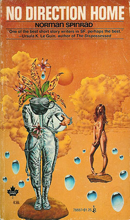 No Direction Home book cover