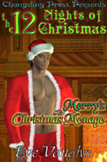 Merry's Christmas Menage book cover