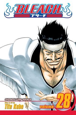 Bleach, Volume 28 book cover