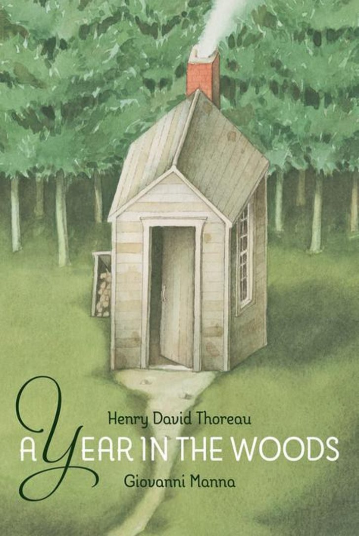 A Year in the Woods book cover