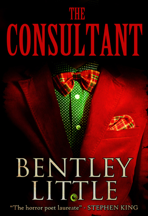 The Consultant book cover