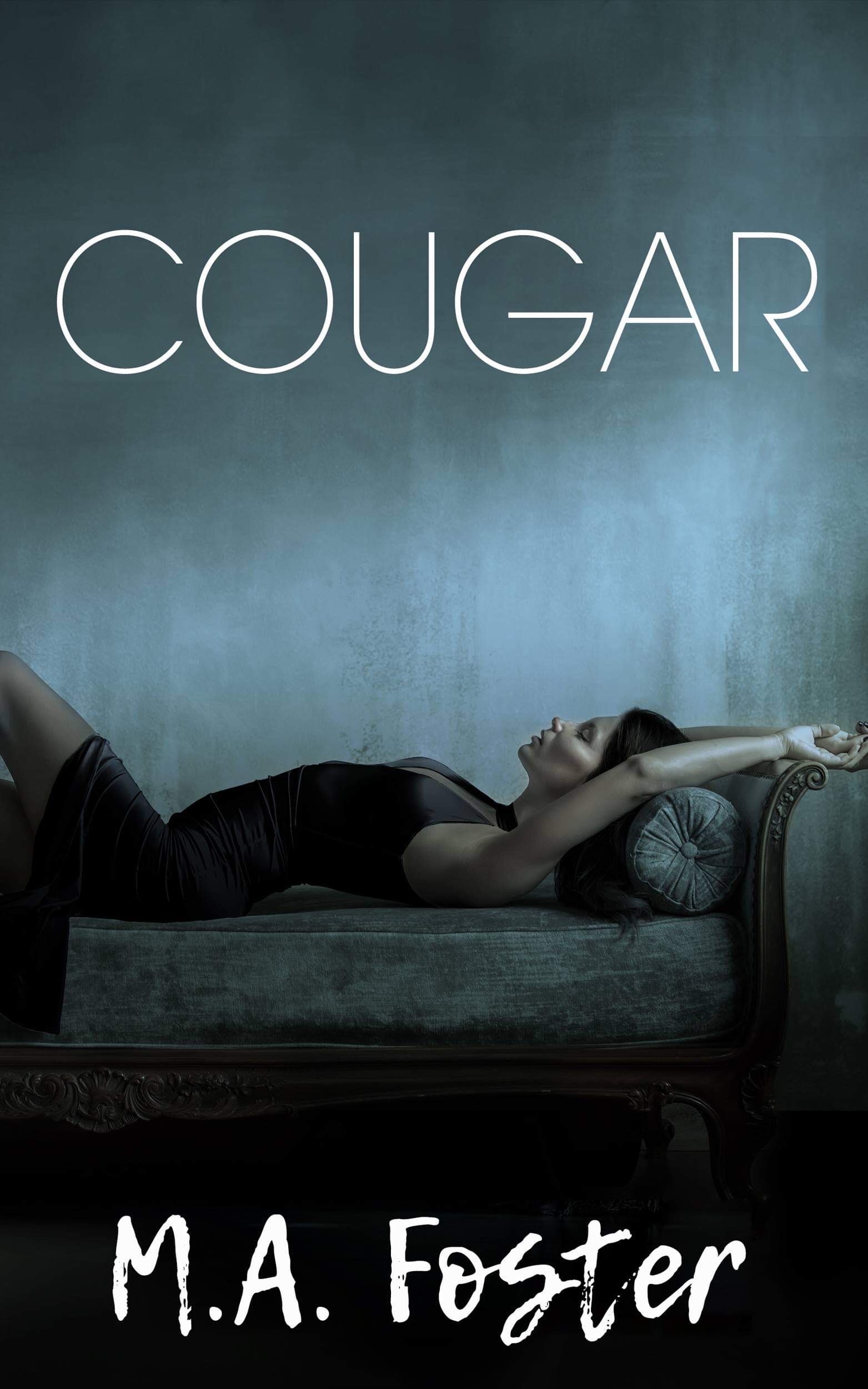 Heritage Bay book cover 3