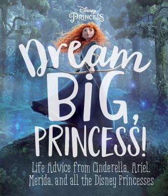 DREAM BIG, PRINCESS! book cover