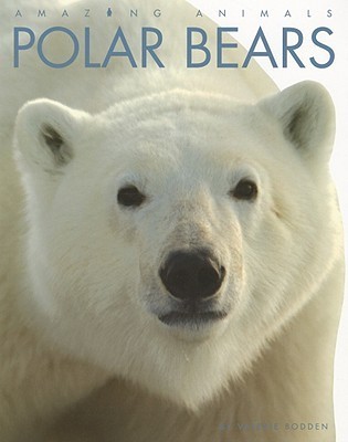 Polar Bears book cover