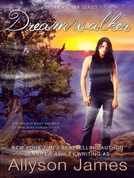 Dreamwalker book cover