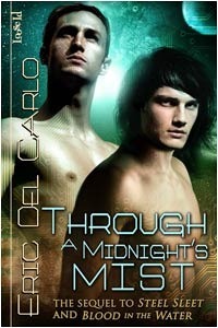 BlaqJaq book cover 3