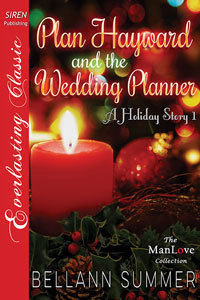 A Holiday Story book cover 1