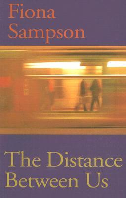 The Distance Between Us book cover