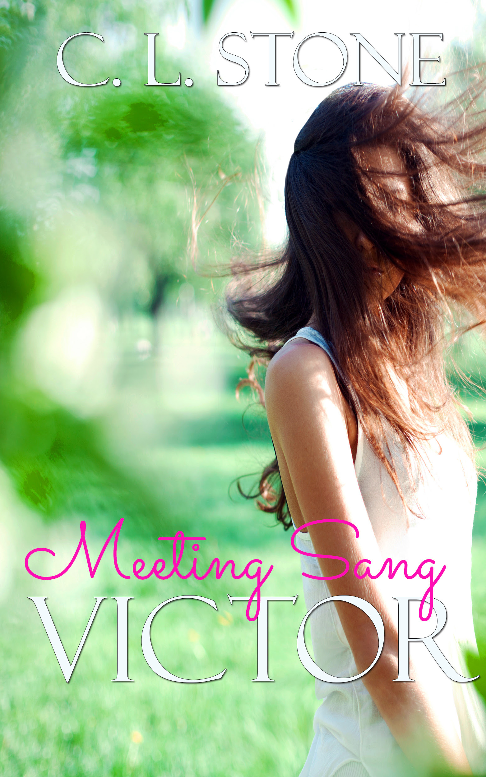 Meeting Sang book cover