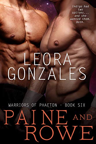 Paine And Rowe book cover