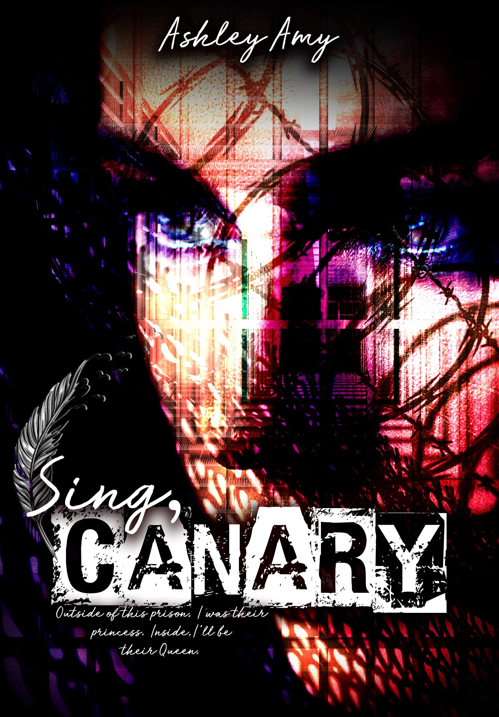 Flawed Feather Duet book cover 1