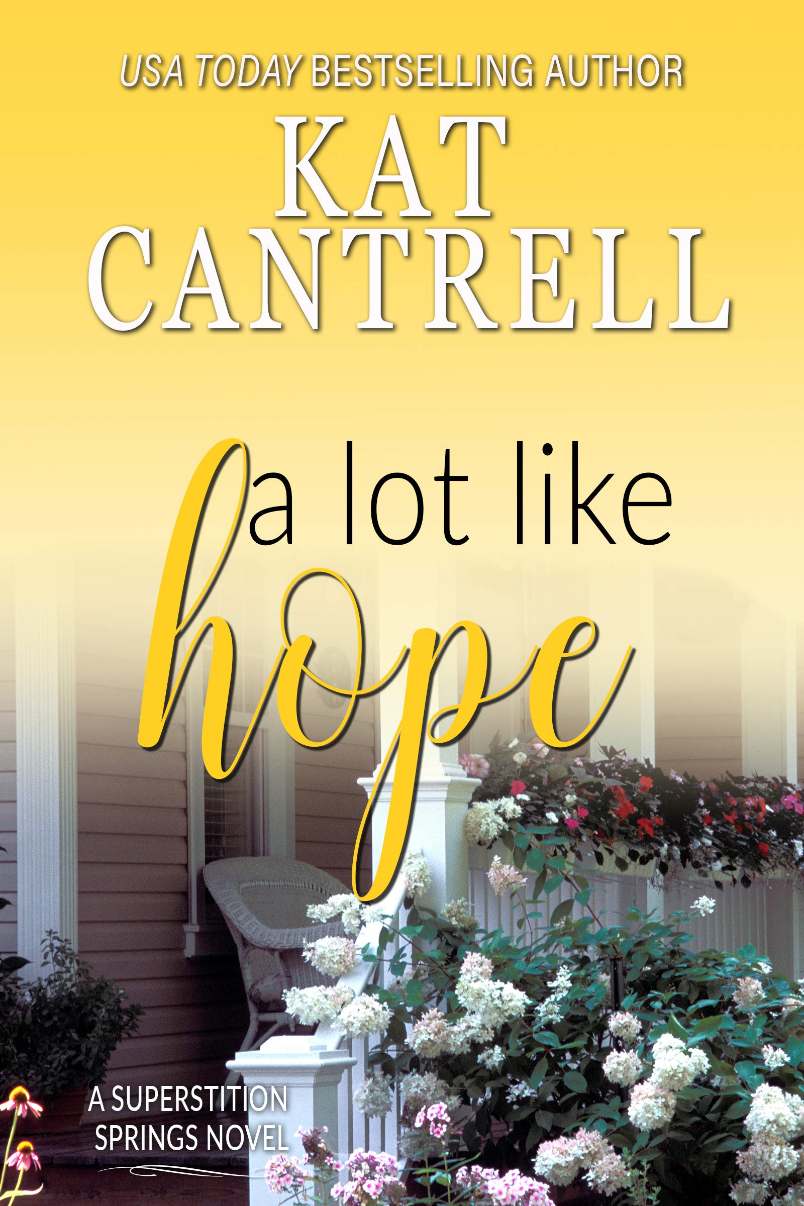 A Lot Like Hope book cover