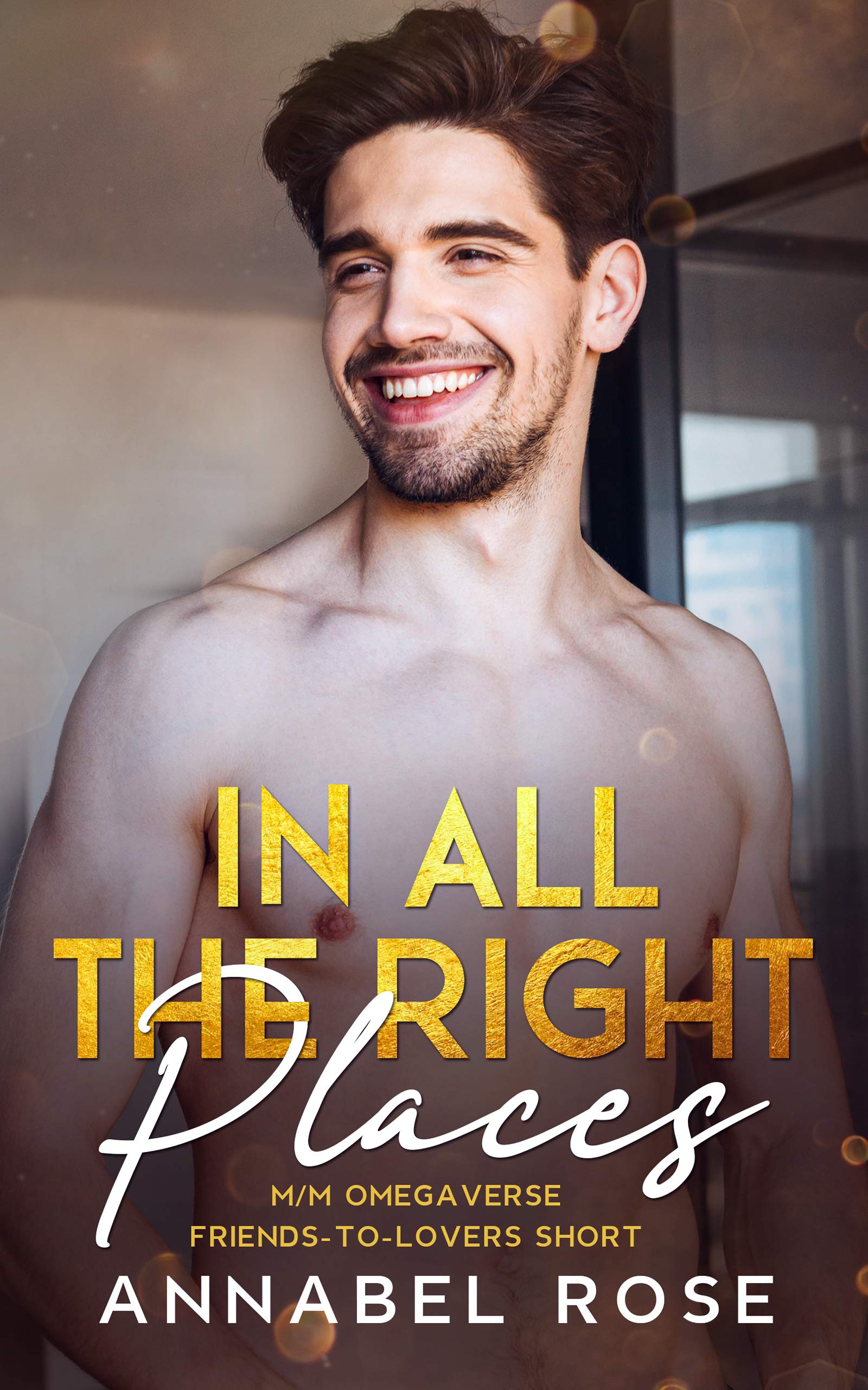In All the Right Places book cover