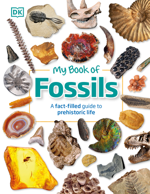 My Book of Fossils book cover