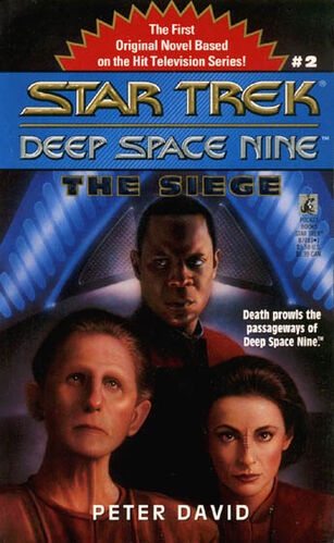 Star Trek: Deep Space Nine book cover 2