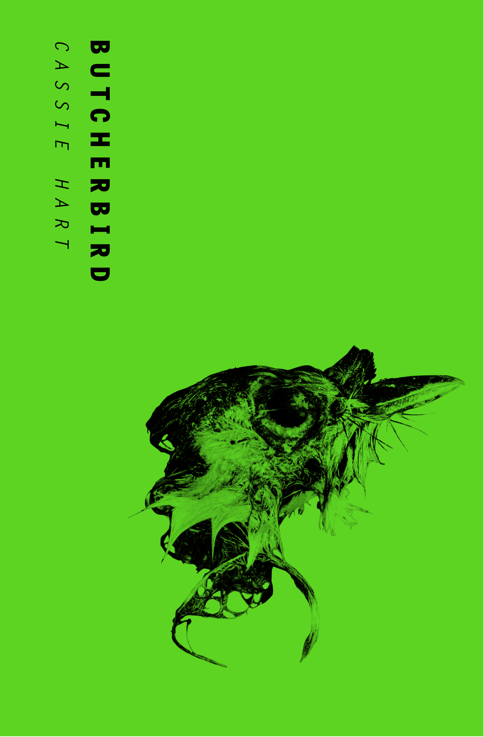 Butcherbird book cover