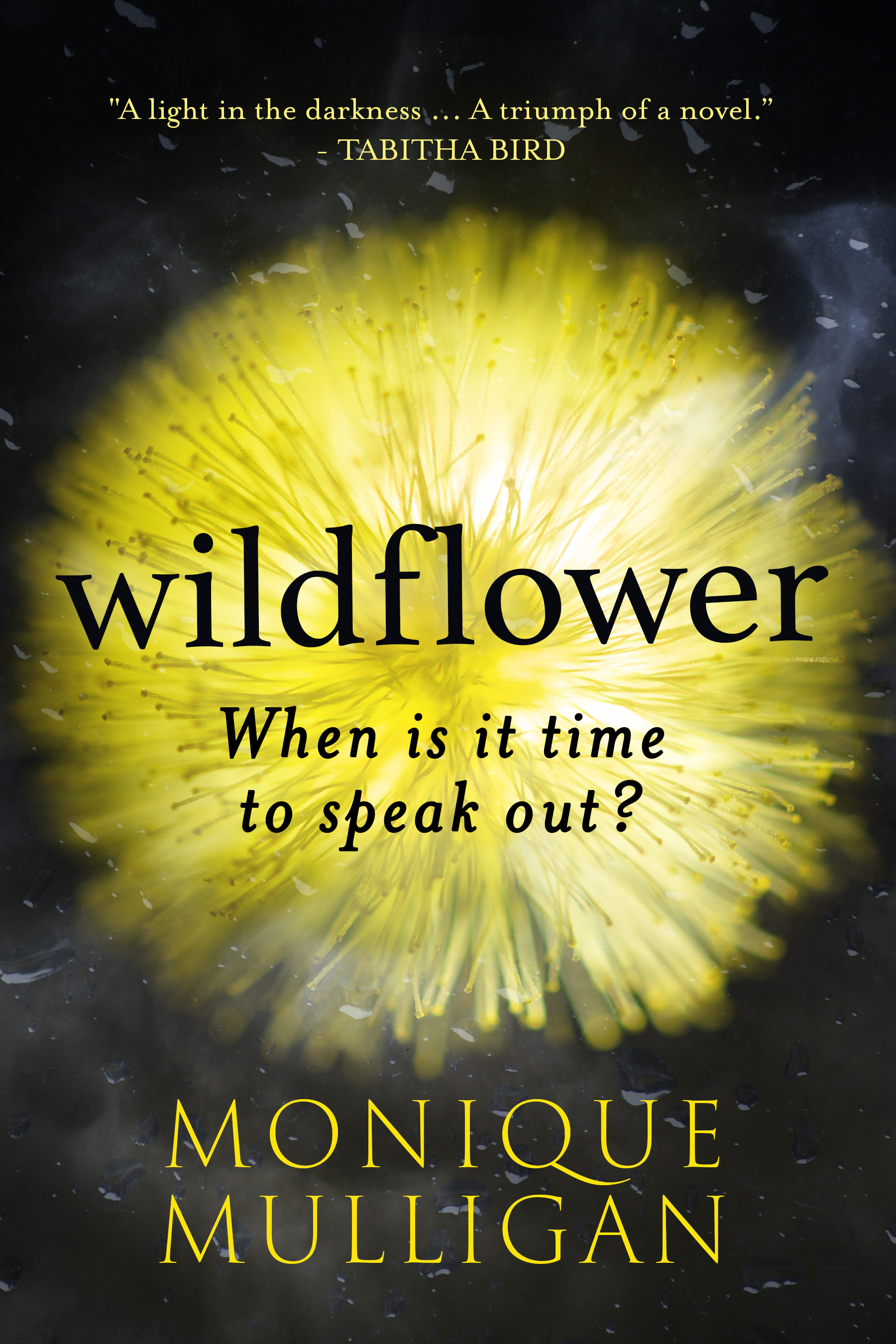 Wildflower book cover