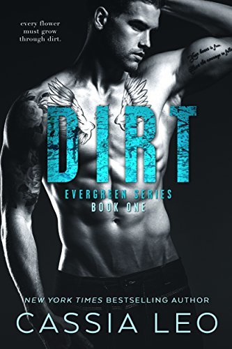 Dirt book cover