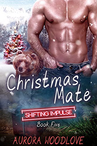 Christmas Mate book cover