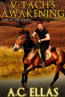 Son of the Wind book cover 1