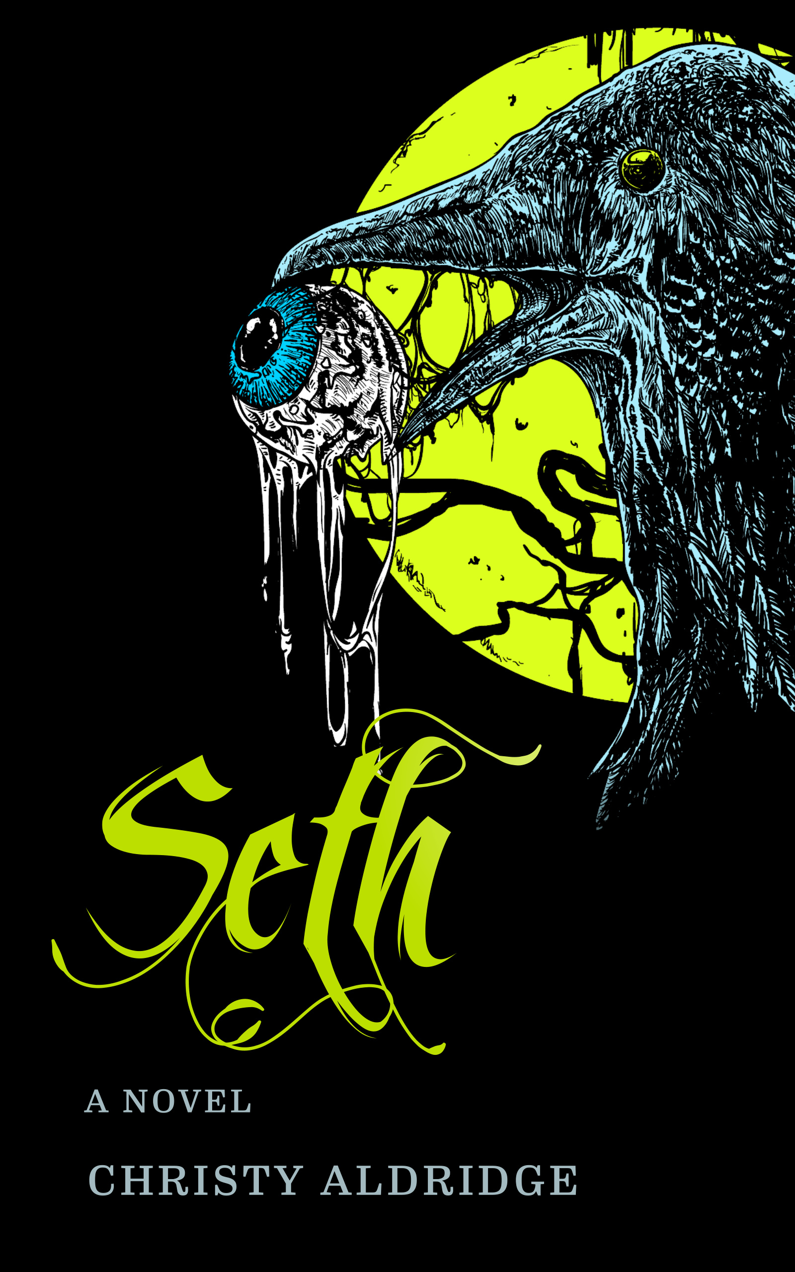 Seth book cover