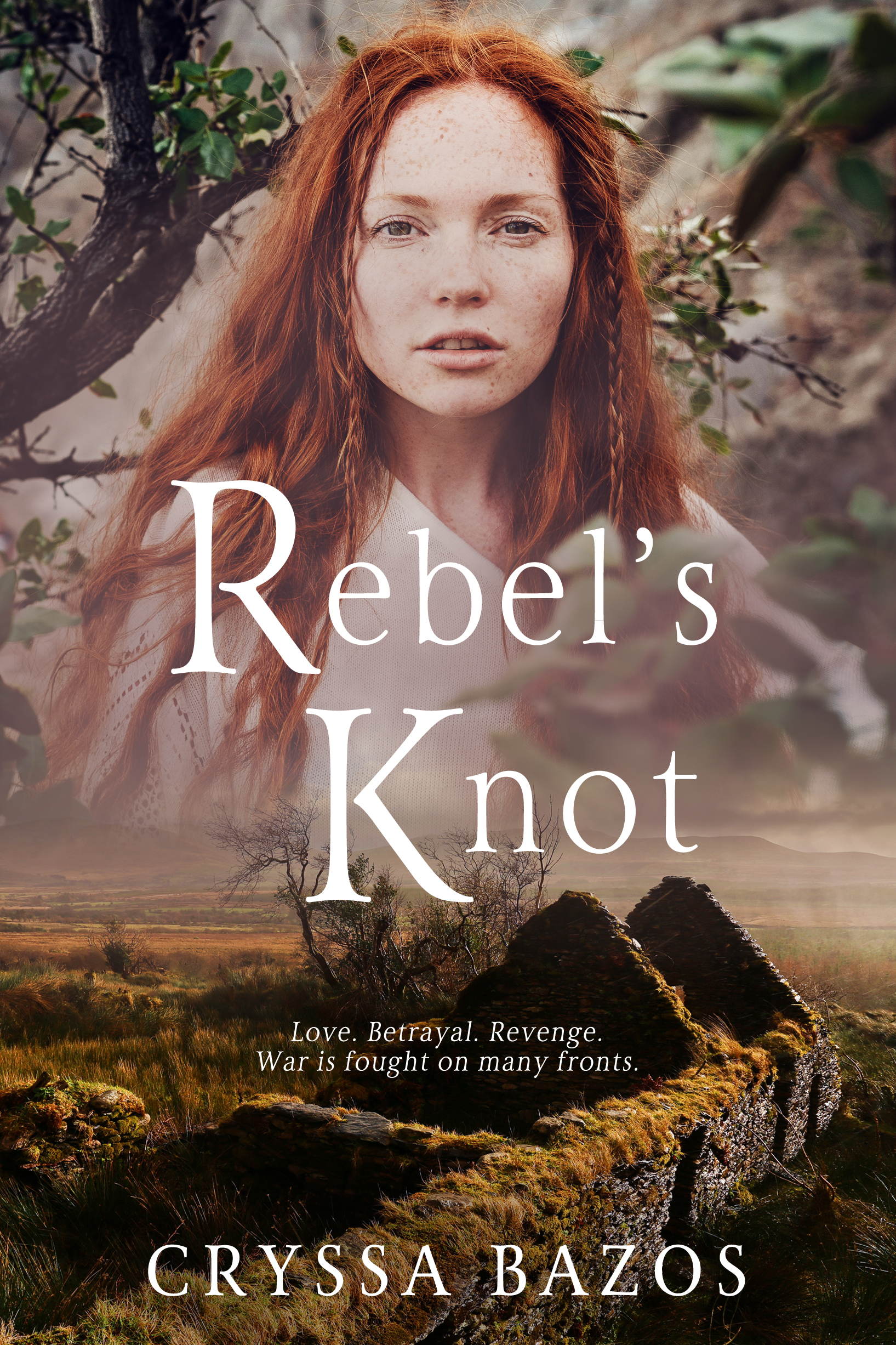 Quest for Three Kingdoms book cover 3