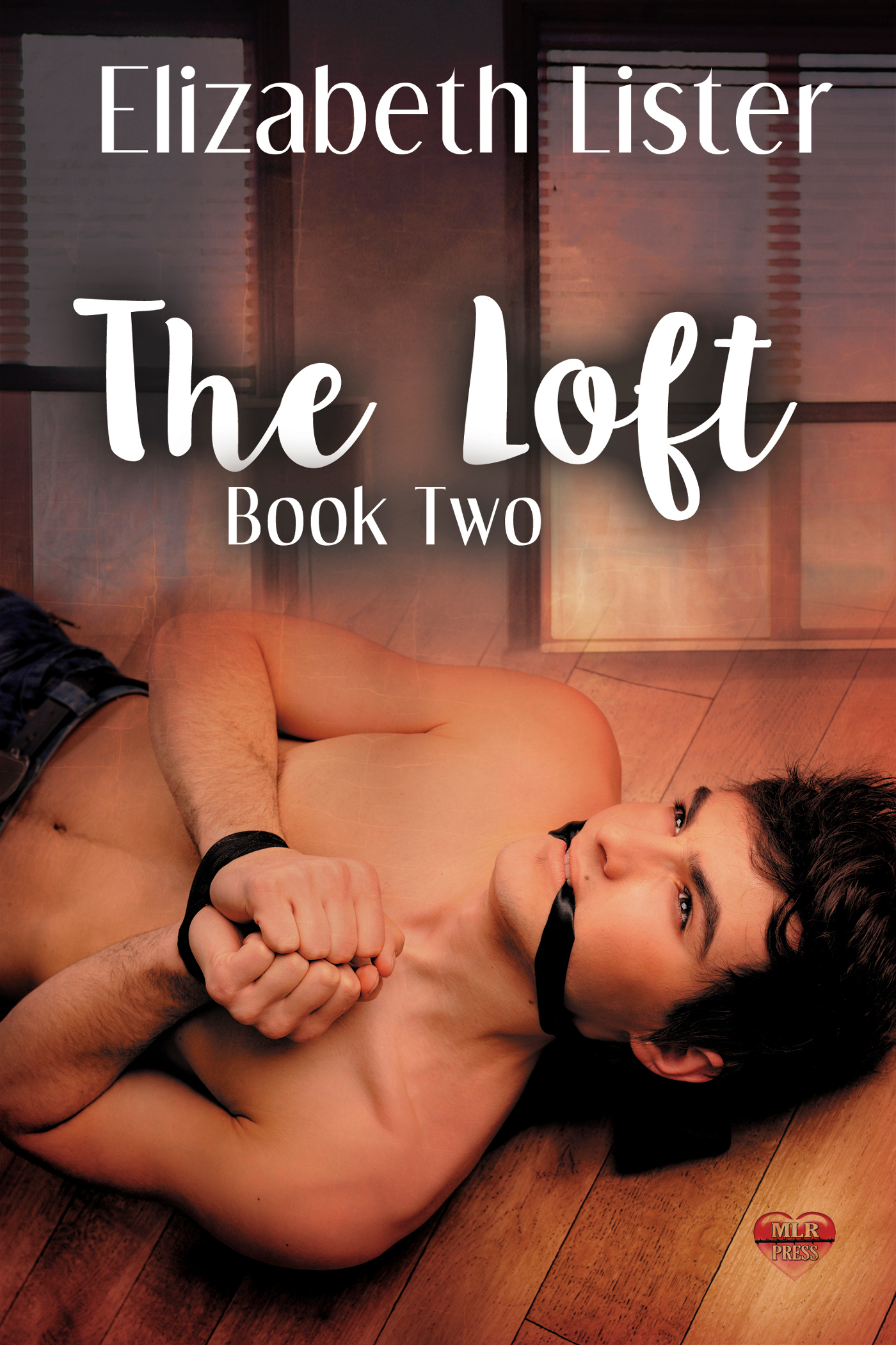 The Loft Trilogy book cover 2