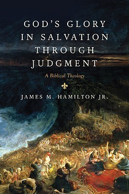 God's Glory in Salvation through Judgment book cover