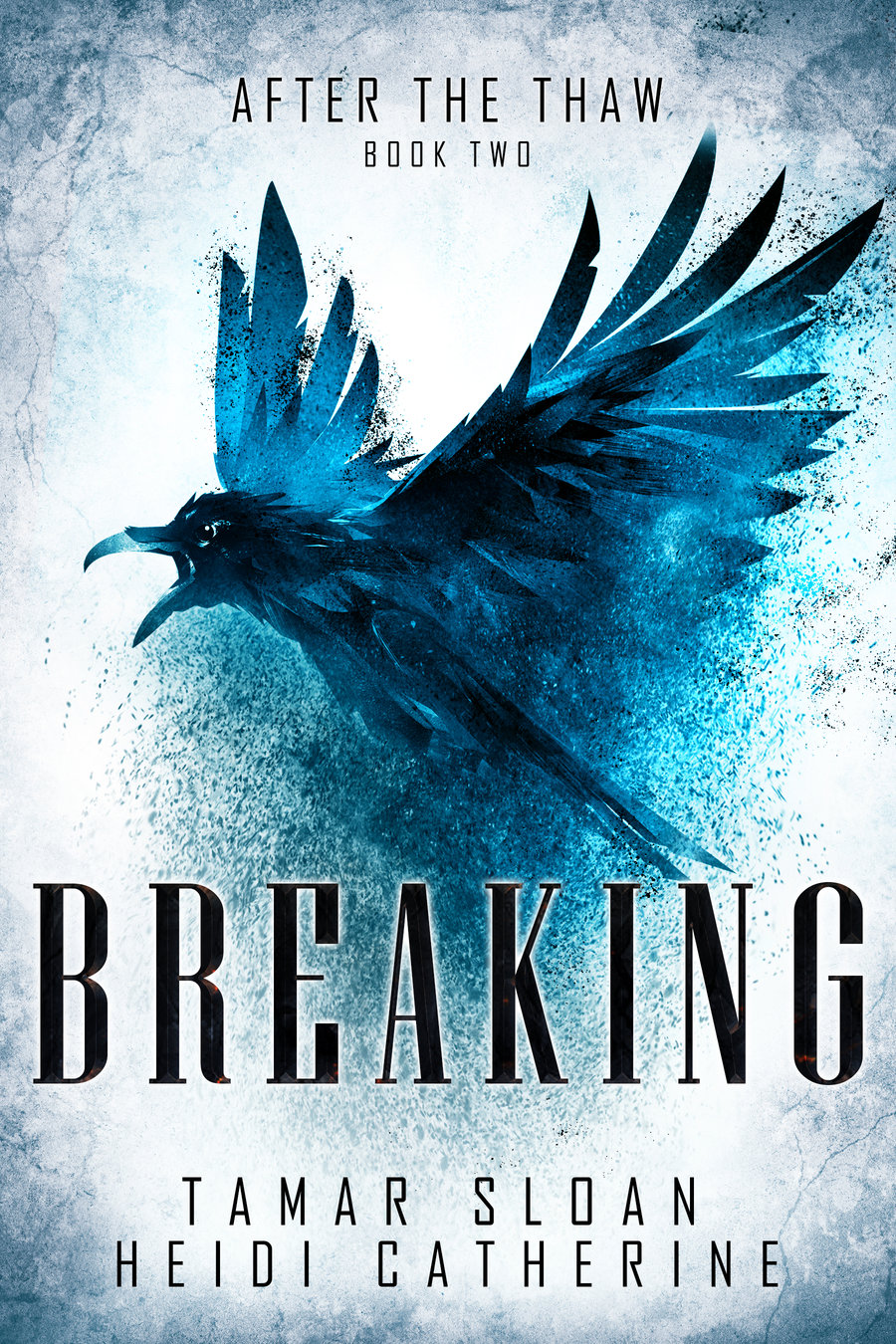 The Thaw Chronicles book cover 2