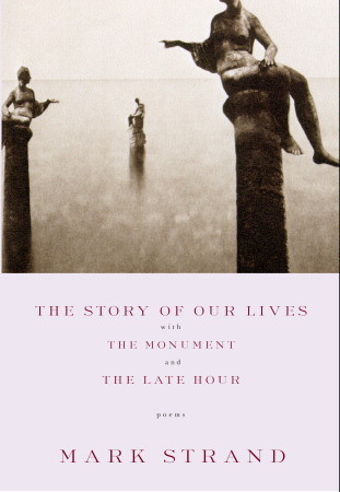 The Story of Our Lives book cover