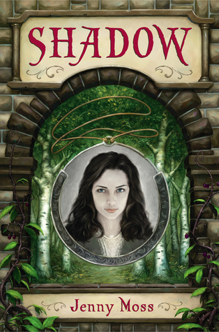 Shadow book cover